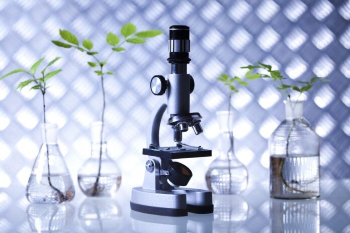 Audiência na Câmara discute pesquisas em agricultura espacial - Notícias Plantas em vasos de vidro com água e um microscópio em cima de uma mesa