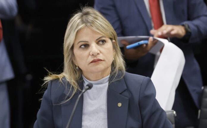 Comissão aprova projeto que cria programa de capacitação sobre direitos Deputada Flávia Morais (MDB-GO) em reunião na Câmara dos Deputados