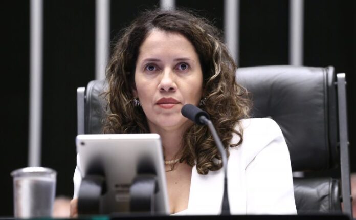 Projeto garante participação remota e segunda chamada para gestantes em Deputada Denise Pessôa (PT-RS) no Plenário da Câmara dos Deputados
