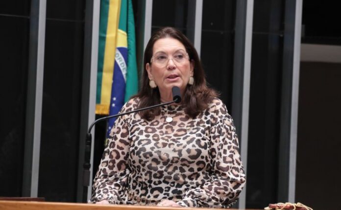 Comissão aprova projeto que impede extinção do dinheiro em papel Deputada Bia Kicis