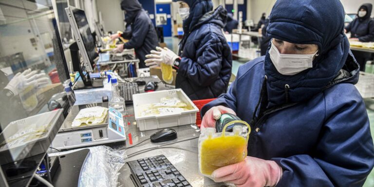 Projeto dispensa licitação para medicamentos produzidos pela Hemobrás