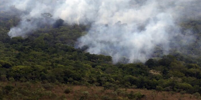 Copernicus: emissão global de gases por incêndios é a menor Copernicus: emissão global de gases por incêndios é a menor em 24 anos