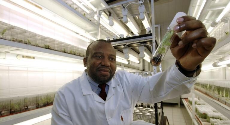 Agência defende papel da tecnologia nuclear para transformar juventude africana