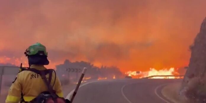 Incêndio florestal na Espanha provoca 11 mortes Incêndio florestal na Espanha provoca 11 mortes