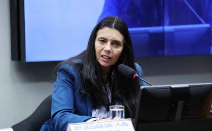 Comissão aprova criação de sistema nacional de prevenção e combate Eleição de Presidente e Vice-Presidente. Dep. Delegada Ione (PL-MG)