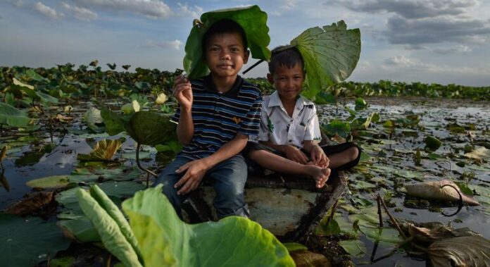 Mudanças climáticas ampliam riscos à saúde e impulsionam migração global