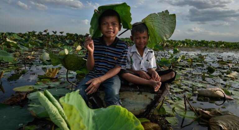 Mudanças climáticas ampliam riscos à saúde e impulsionam migração global