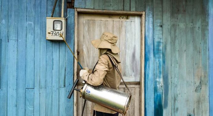Dia Internacional do Mosquito mobiliza ciência e sociedade contra epidemias Dia Internacional do Mosquito mobiliza ciência e sociedade contra epidemias