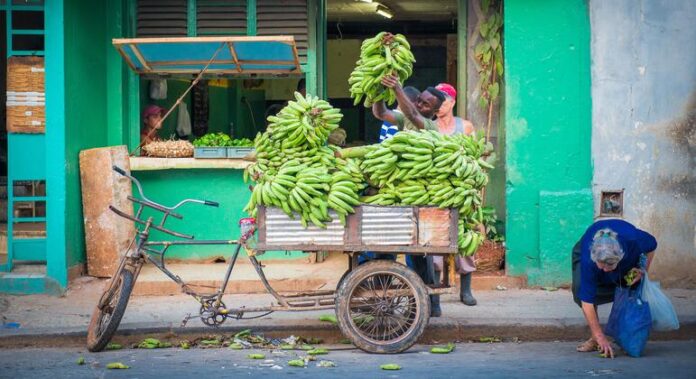 América Latina: Economia formal é indispensável contra baixo crescimento América Latina: Economia formal é indispensável contra baixo crescimento