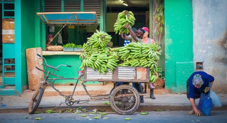 América Latina: Economia formal é indispensável contra baixo crescimento