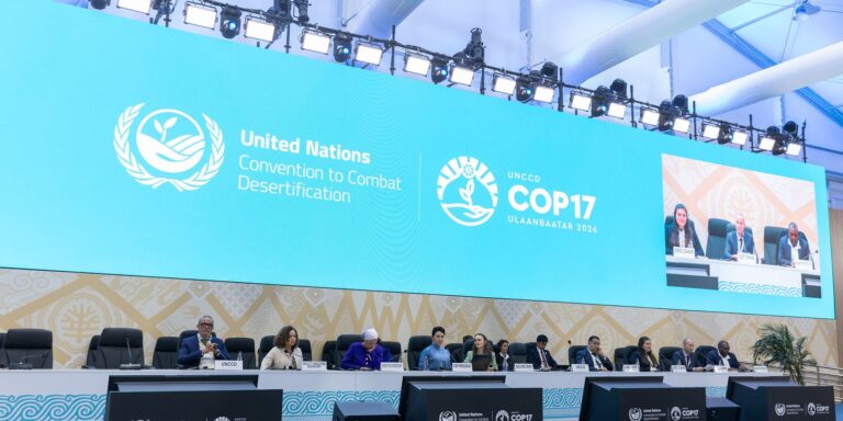 Afetada por disputas geopolíticas, COP17 termina com poucos avanços
