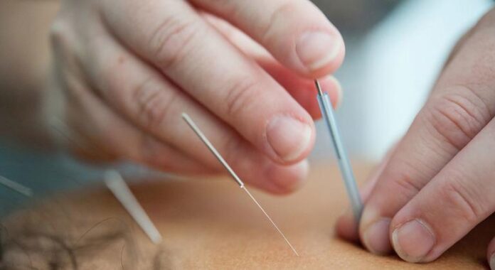 Medicina Tradicional Africana: OMS debate integração e sabedoria ancestral na saúde