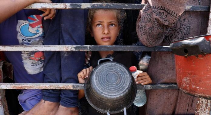 Relatora defende resgate da dignidade humana no combate à fome Relatora defende resgate da dignidade humana no combate à fome